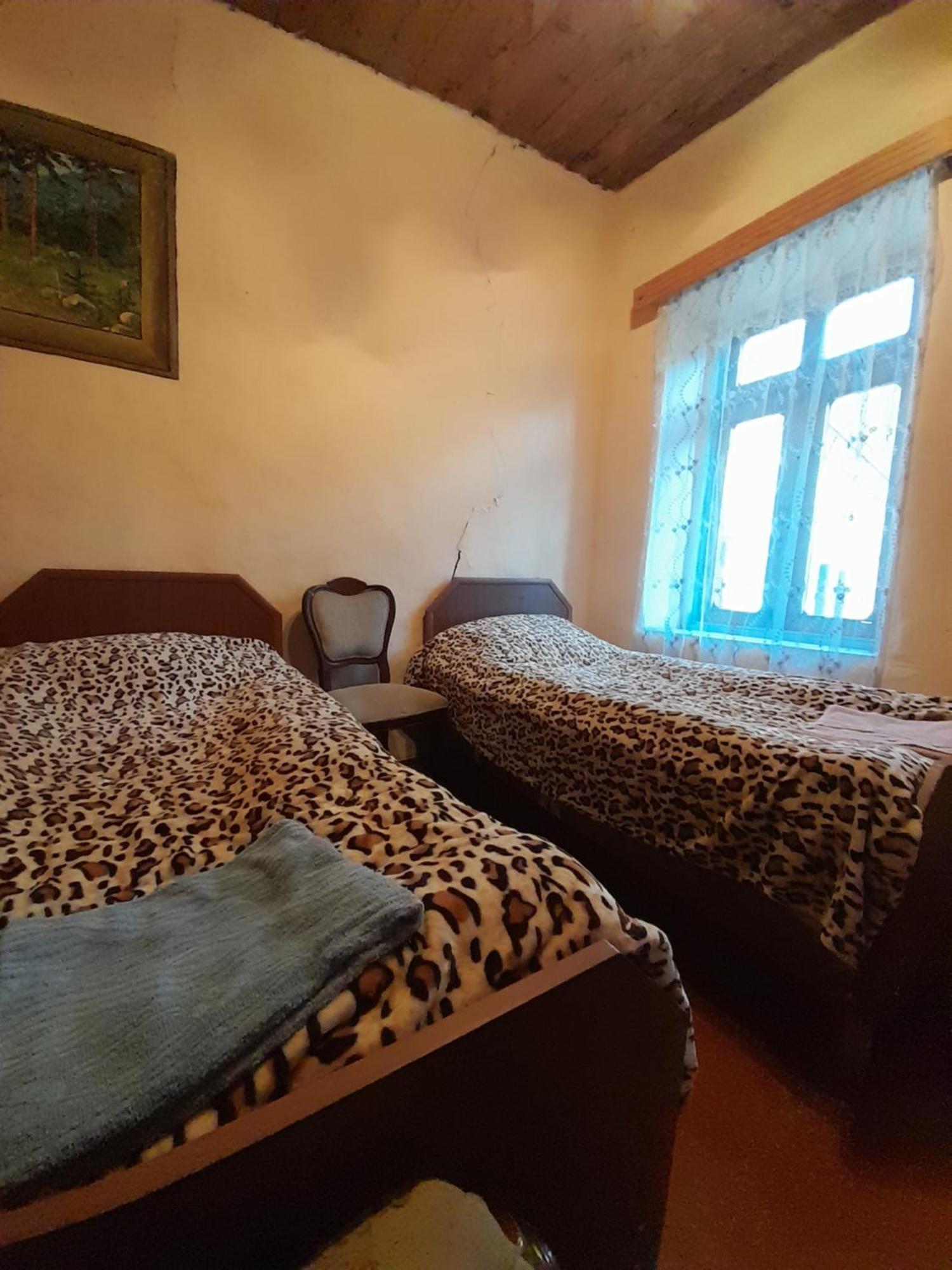Adishi Guest House Zhora Kaldani Екстериор снимка