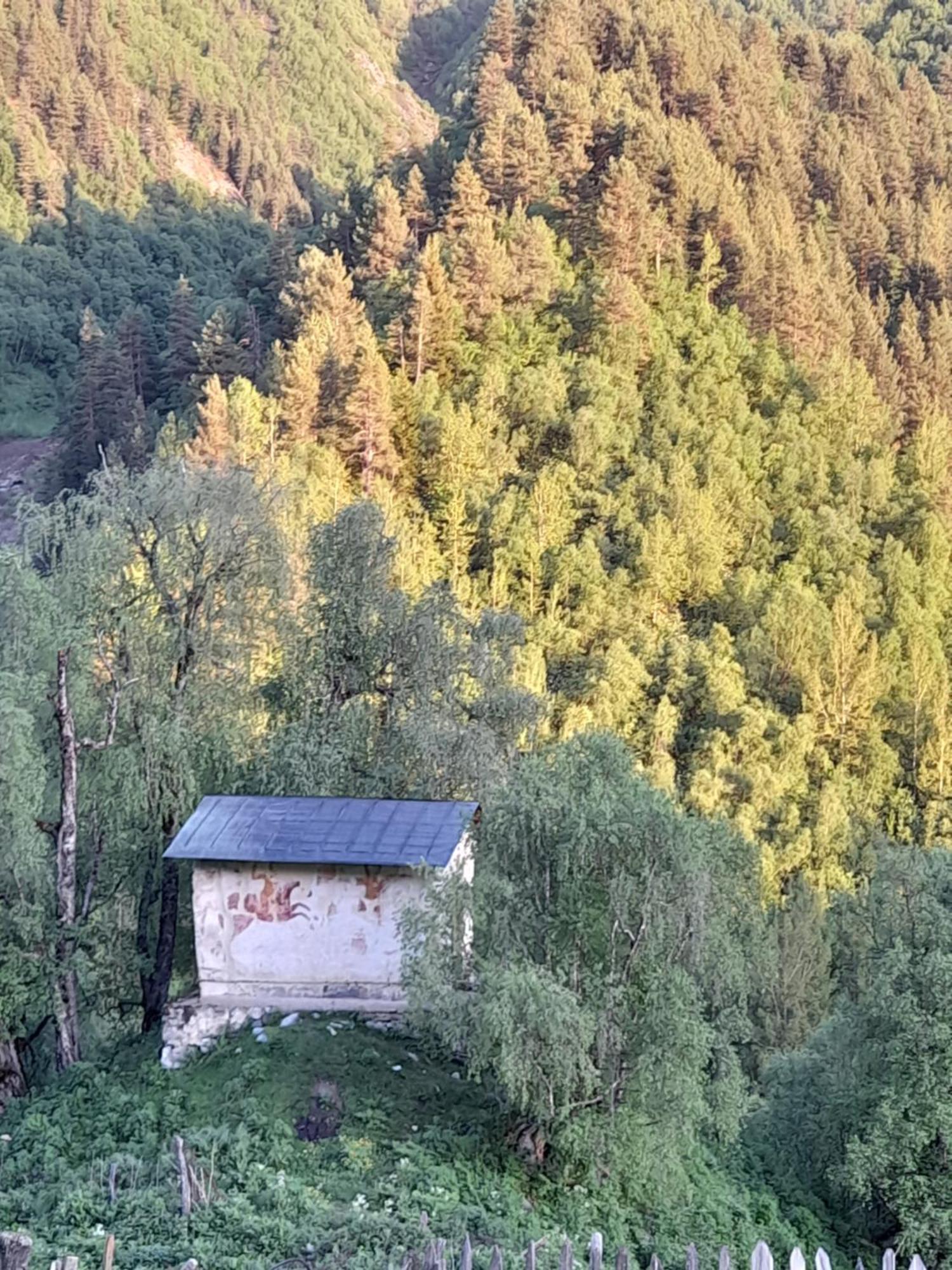 Adishi Guest House Zhora Kaldani Екстериор снимка